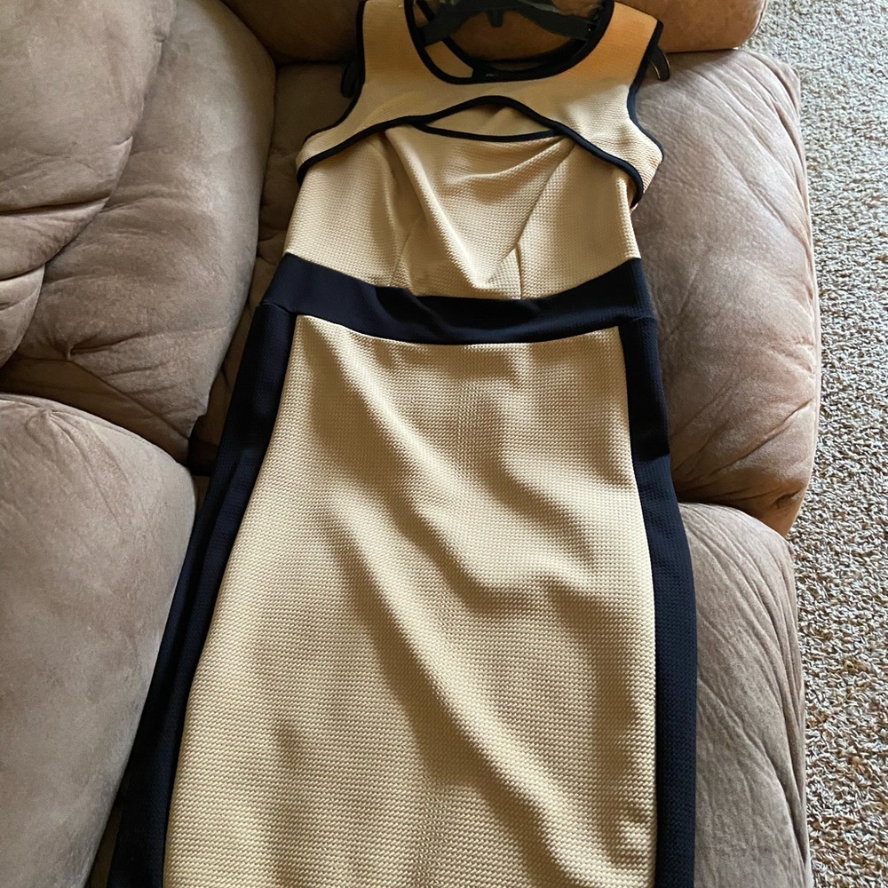 Women (plus size) Tan with Black Trim Dress - Picture 5 of 9
